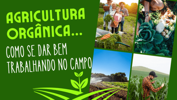 Agricultura Orgânica: como se dar bem trabalhando no Campo