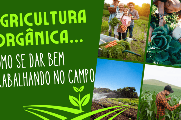 Agricultura Orgânica: como se dar bem trabalhando no Campo