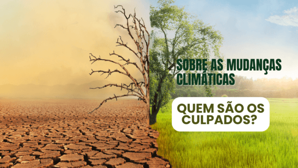Sobre as mudanças climáticas quem são os culpados?