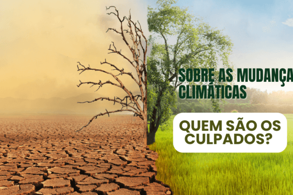 Sobre as mudanças climáticas quem são os culpados?