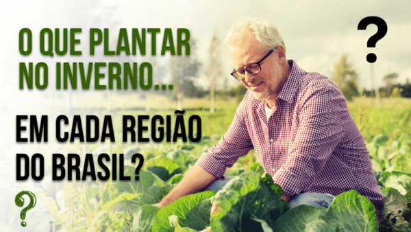 O que plantar no inverno em cada região do Brasil