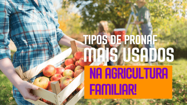 Linhas de Crédito do  Pronaf mais utilizados na Agricultura