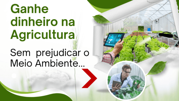 Ganhar dinheiro na Agricultura sem destruir o meio ambiente