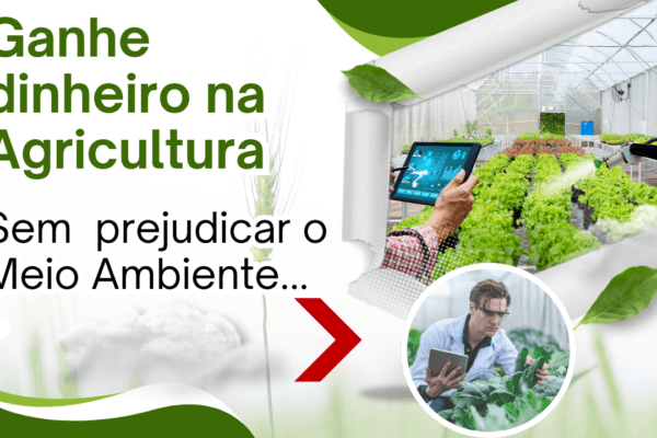 Ganhar dinheiro na Agricultura sem destruir o meio ambiente