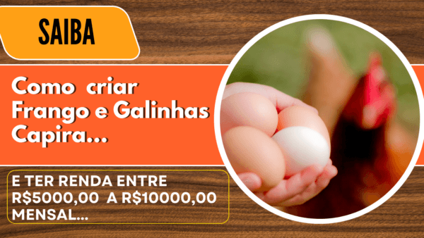 Criação de Frangos e Galinhas Caipira vale a pena. Saiba Mais