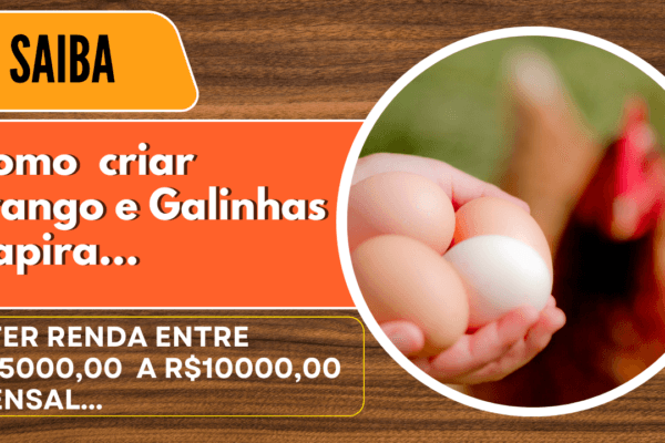 Criação de Frangos e Galinhas Caipira vale a pena. Saiba Mais