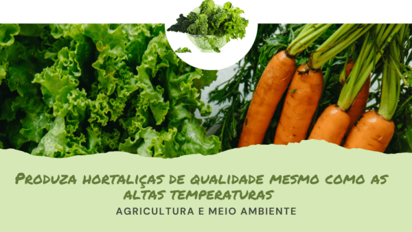 Produza hortaliças de qualidade mesmo no verão