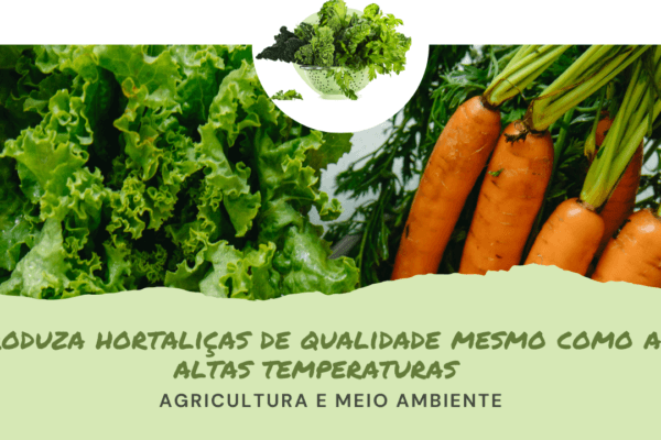 Produza hortaliças de qualidade mesmo no verão