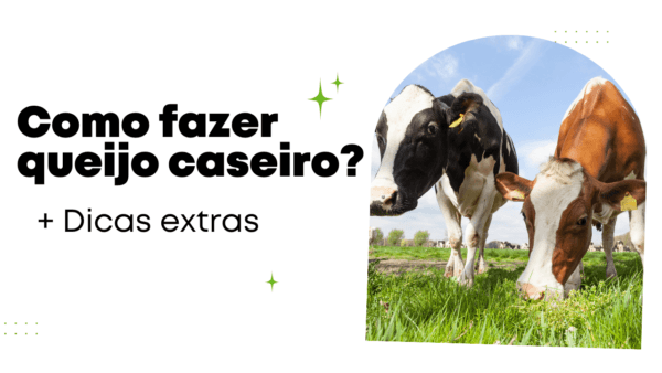 Como fazer queijo caseiro? Mais dicas extras no final do artigo