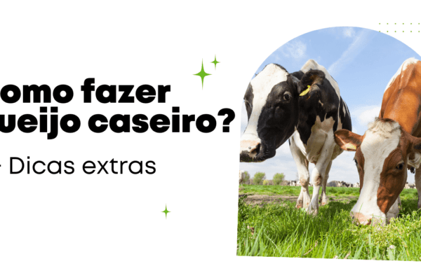 Como fazer queijo caseiro? Mais dicas extras no final do artigo