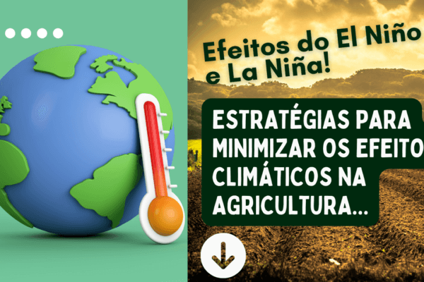 Como o La Niña e o El Niño influenciam a agricultura?
