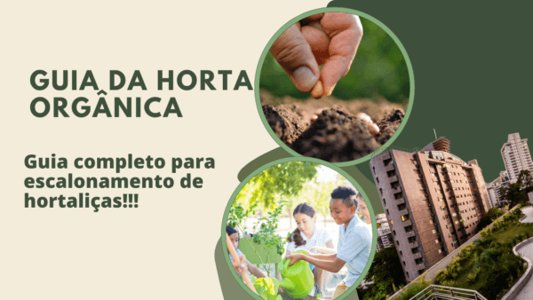 Guia da horta Orgânica-Dicas de escalonamento para hortaliças