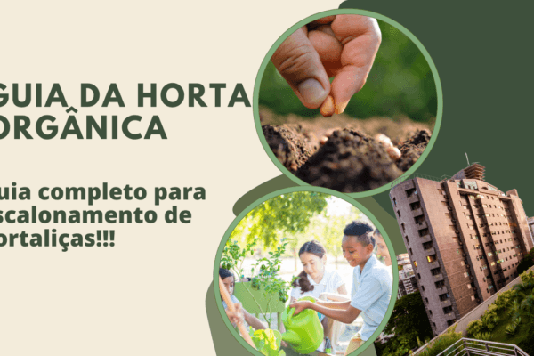 Guia da horta Orgânica-Dicas de escalonamento para hortaliças