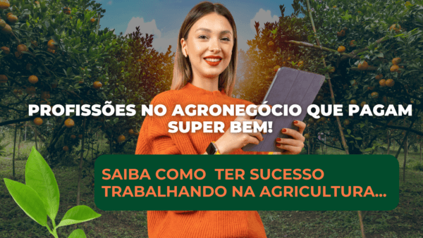 Profissões no agronegócio que pagam super bem