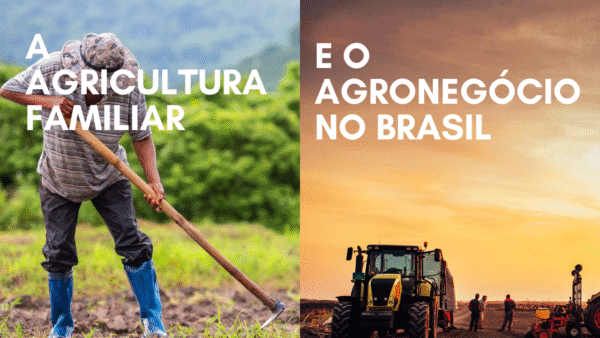 Agricultura familiar e o agronegócio no Brasil