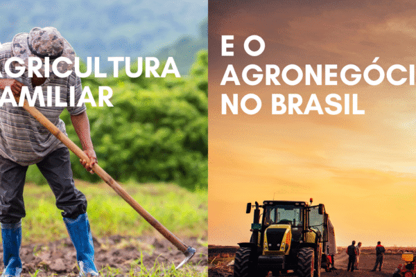 Agricultura familiar e o agronegócio no Brasil
