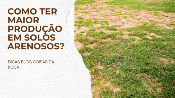 Como ter maior produção em solos arenosos?