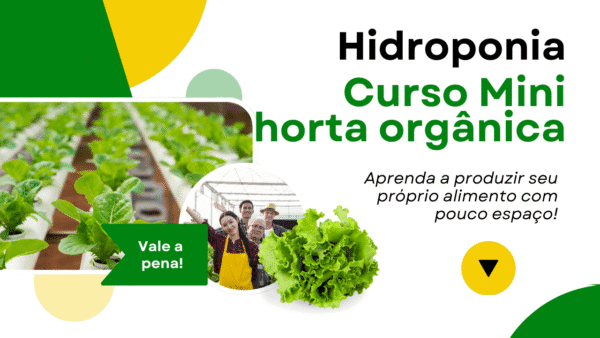 Curso de horta hidropônica, como fazer?