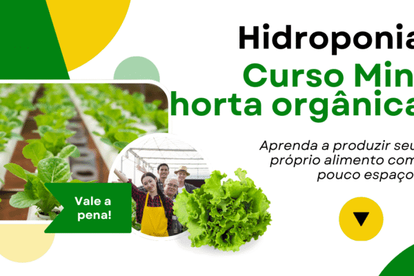 Curso de horta hidropônica, como fazer?