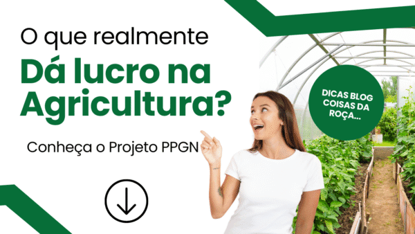 O que realmente da lucro na agricultura?
