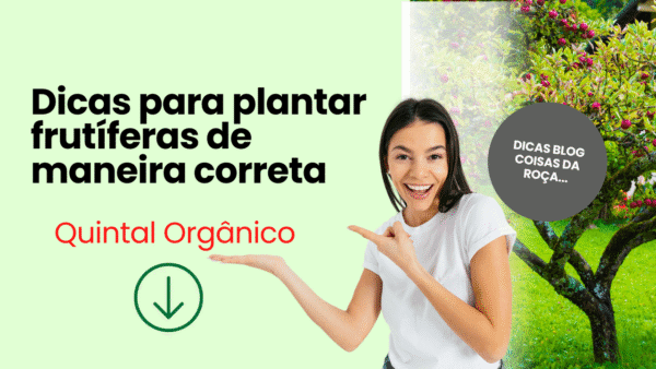 Dicas para plantar frutíferas de maneira correta