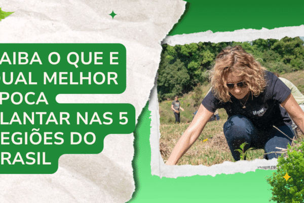 Saiba o que e qual melhor época plantar nas 5 regiões do Brasil