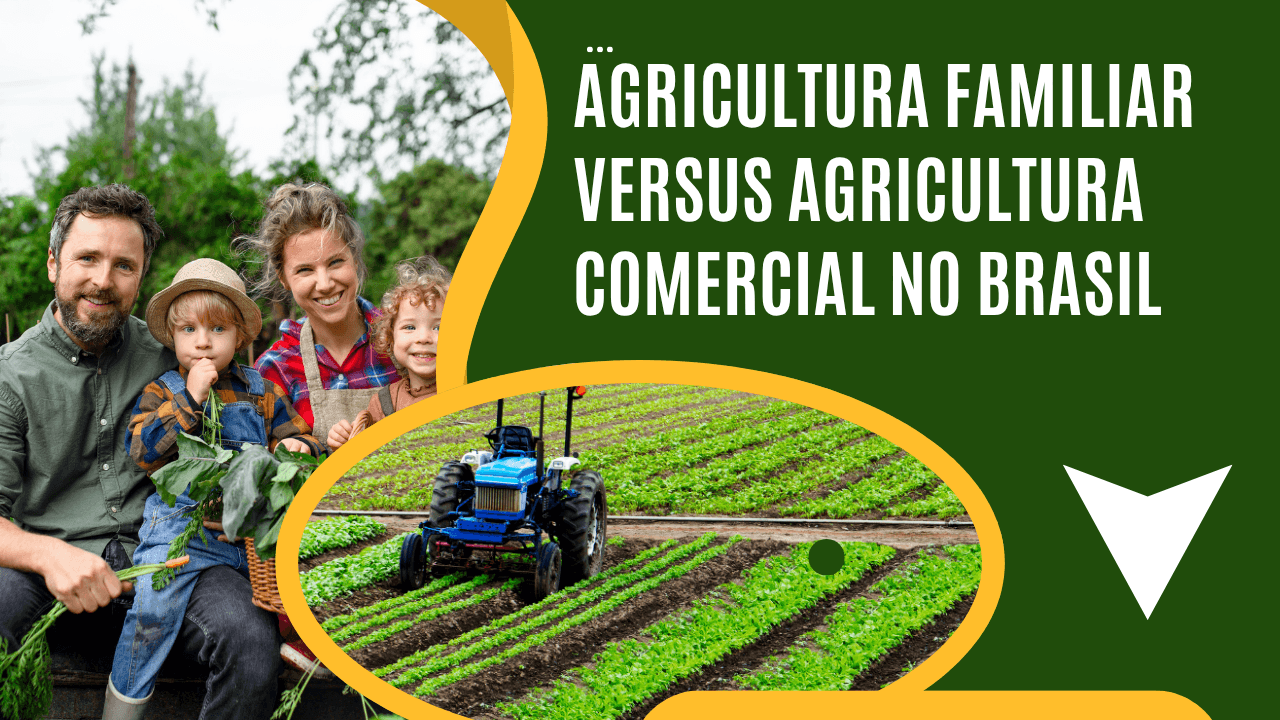 Agricultura familiar versus comercial no Brasil % - Caisas da Roça Blog