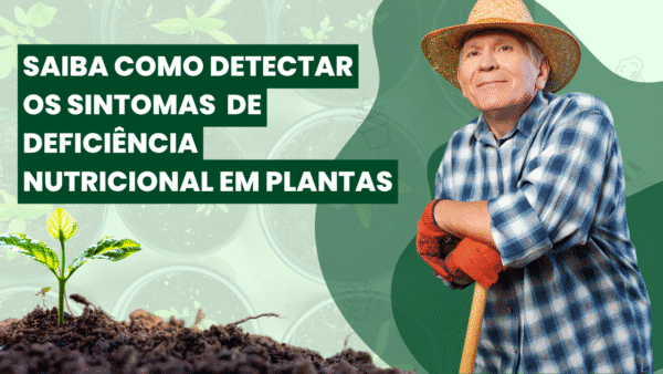 Deficiência Nutricional nas Plantas:  Evite prejuízo na sua lavoura
