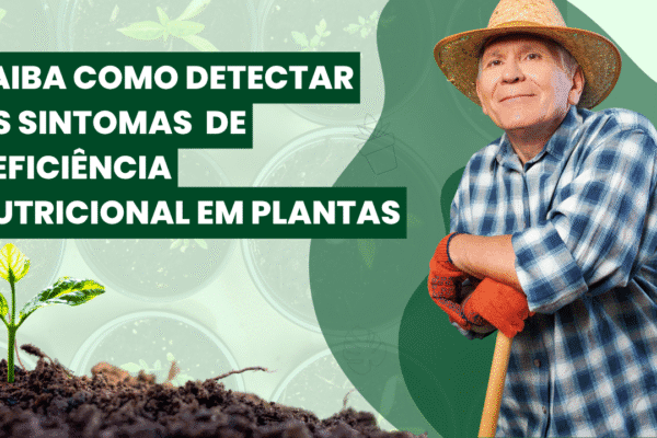 Deficiência Nutricional nas Plantas:  Evite prejuízo na sua lavoura