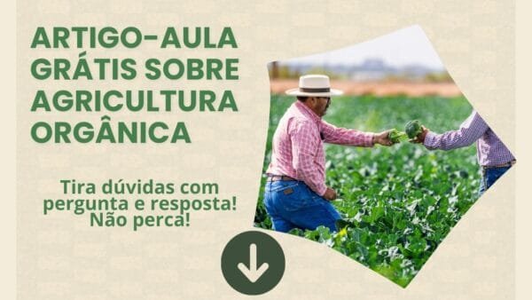 Artigo-aula gratuito sobre agricultura Orgânica