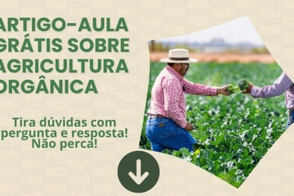 Artigo-aula gratuito sobre agricultura Orgânica