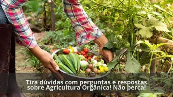 Perguntas e Respostas sobre Agricultura Orgânica