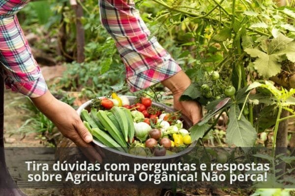 Perguntas e Respostas sobre Agricultura Orgânica