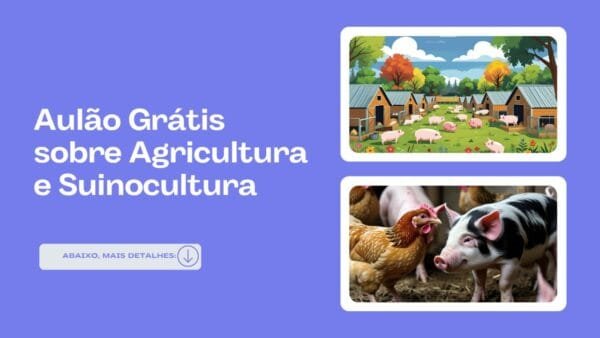 Aprenda mais sobre Avicultura e Suinocultura