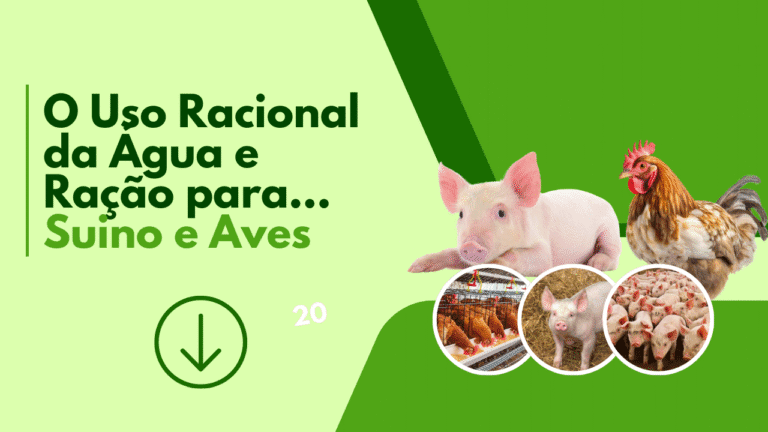 A avicultura e suinocultura desempenham papéis cruciais na produção de alimentos no contexto agrícola contemporâneo. No entanto, a utilização excessiva de recursos, como água e ração, pode comprometer não só os resultados da produção, mas também a sustentabilidade ambiental.