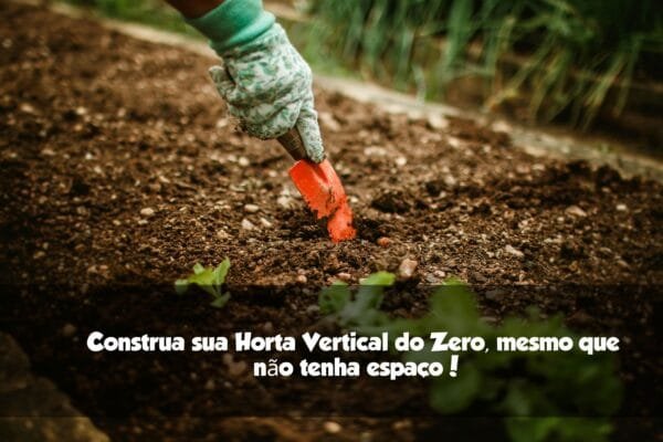 Como construir uma Horta Apartamento do zero