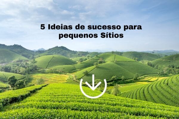 Produção Agropecuária no Brasil: 5 Ideias de sucesso para pequenos  Sítios