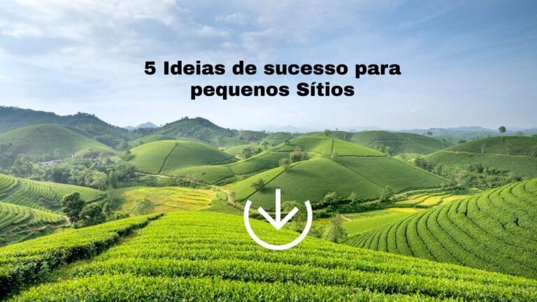 Texto sobre o artigo que trata sobre produção agropecuária.