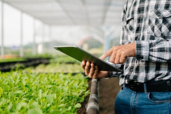 Agronegócio: os segmentos e produtos mais rentáveis do setor no Brasil.