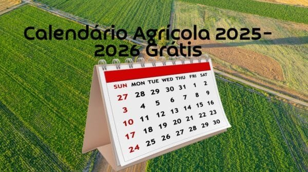 Calendário Agrícola 2025–2026: Planeje o plantio, colheita e manejo no campo