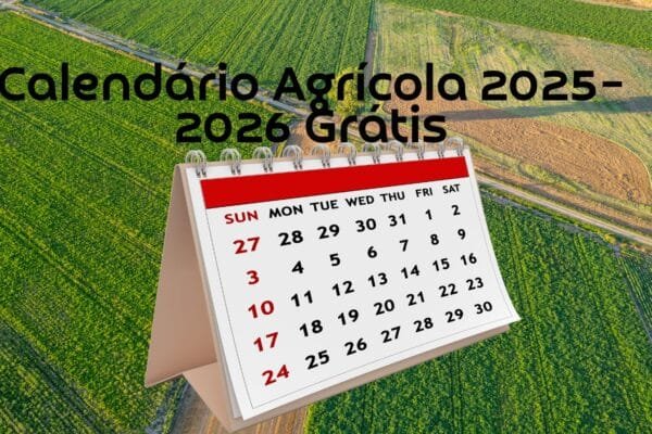 Calendário Agrícola 2025–2026: Planeje o plantio, colheita e manejo no campo