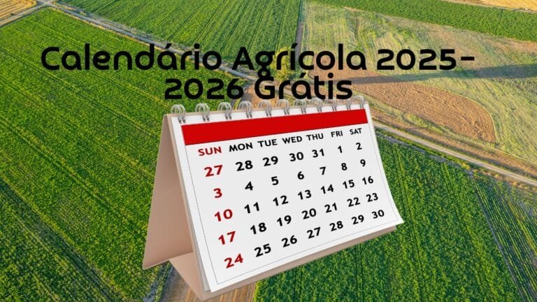 Capa do artigo Calendário agricola 2025/2026