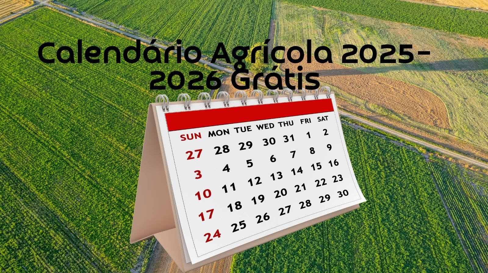 Calendário agrícola 2025 região sul 2