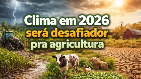 Como Clima pode influenciar o seu sítio, chácara ou fazenda em 2026?