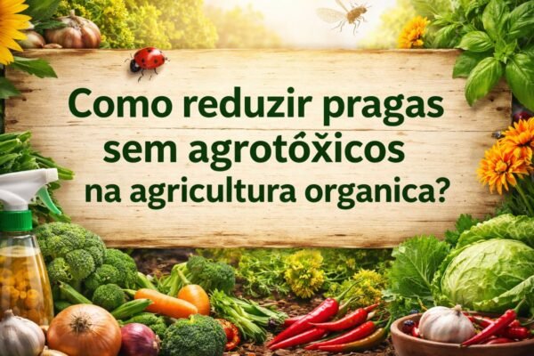 7 Estratégias Comprovadas Para Reduzir Pragas Sem Agrotóxicos (Que Realmente Funcionam no Campo)