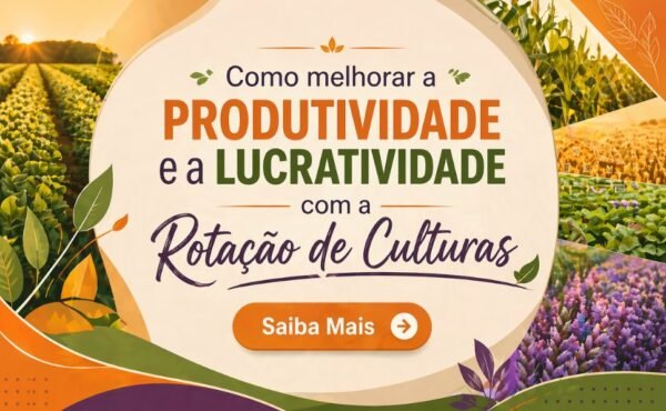 Rotação de Culturas: A Estratégia Inteligente para Aumentar a Produtividade e Lucrar Mais no Campo