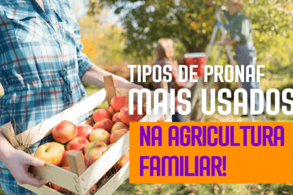 Linhas de Crédito do  Pronaf mais utilizados na Agricultura