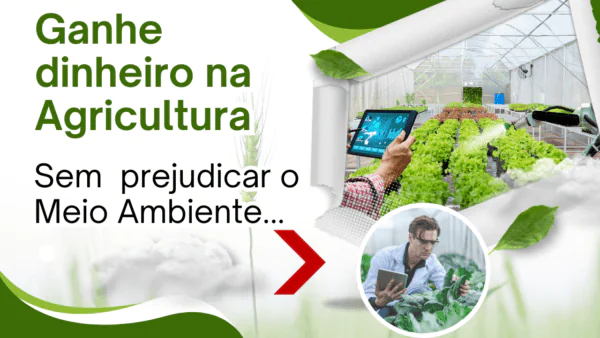 Ganhar dinheiro na Agricultura sem destruir o meio ambiente