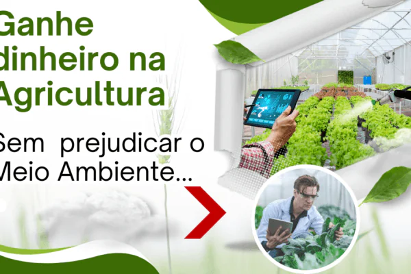 Ganhar dinheiro na Agricultura sem destruir o meio ambiente