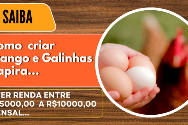 Criação de Frangos e Galinhas Caipira vale a pena. Saiba Mais